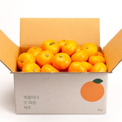 깨비농원 조생감귤, 1개, 3kg(2S-M)