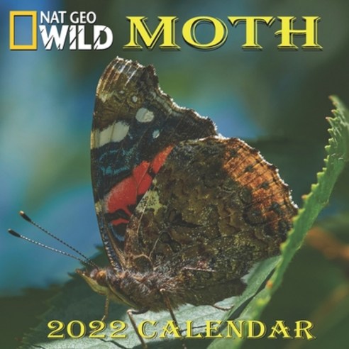 Moth Calendar 2022: MOTH calendar 2022 "8.5x8.5" Inch 16 Months JAN 2022 TO APR 2023 finished and Gl... Paperback, Independently Published, English, 9798743722402