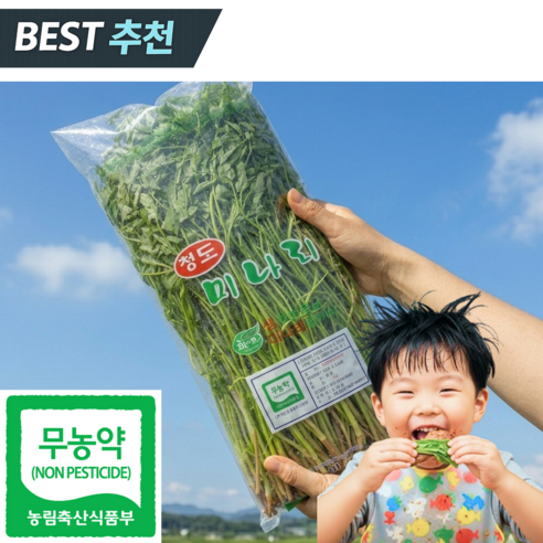 [품질보장] 무농약 청도 미나리 특품