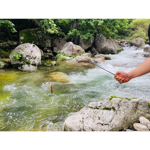 민물 낚시를 위한 저렴하고 다목적이며 편리한 낚시대 세트