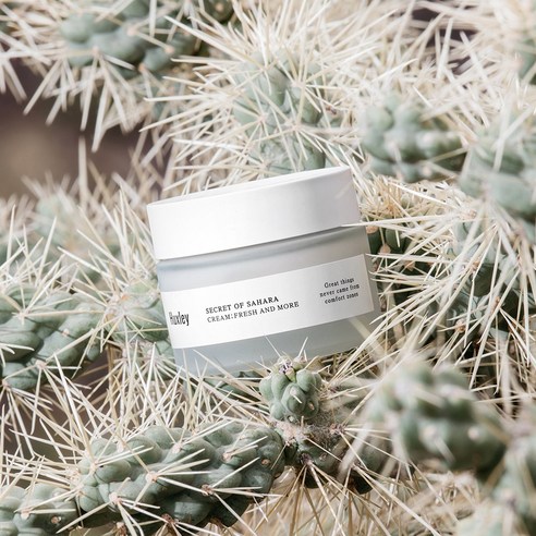 Huxley Fresh and More Cream: the ultimate solution for hydrated, soothed, and protected skin