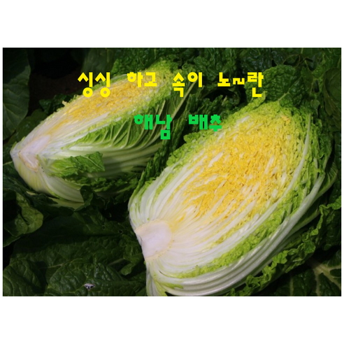 해남다애네농장 통배추 김치용2통 3통 4통 5통 6통, 2개