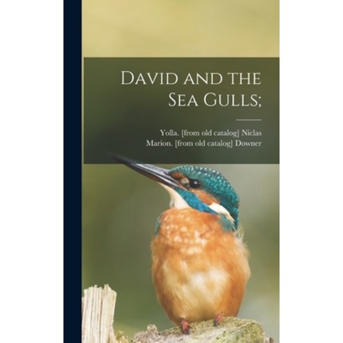 (영문도서) David and the Sea Gulls; Hardcover, Hassell Street Press, English, 9781013647086