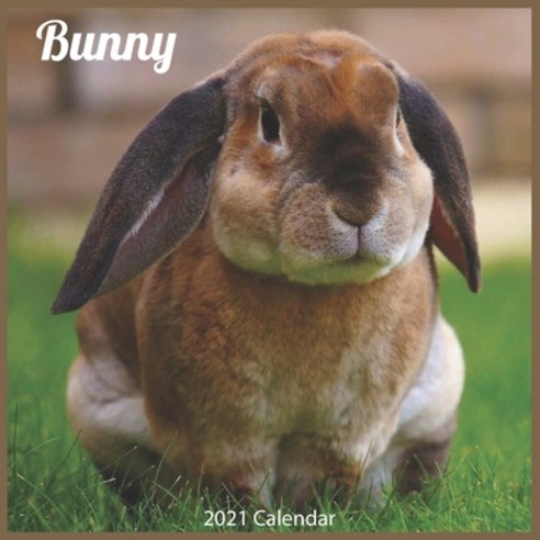 Bunny 2021 Calendar: Official Bunnies Wall Calendar 2021 Paperback, Independently Published, English, 9798575845416