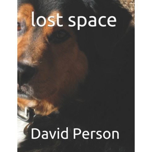 (영문도서) lost space Paperback, Independently Published, English, 9798523987731