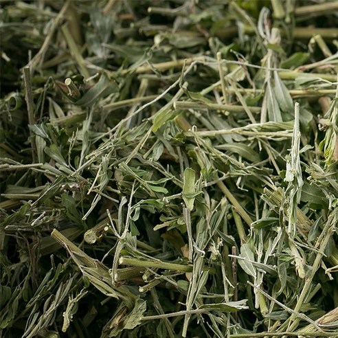 신토불이 국산 약초 야관문(비수리) 600g, 12V2_국산야관문(비수리)600g, 1개 야간문 신토불이 국산 약초 야관문(비수리) 600g, 12V2_국산야관문(비수리)600g, 1개 야간문