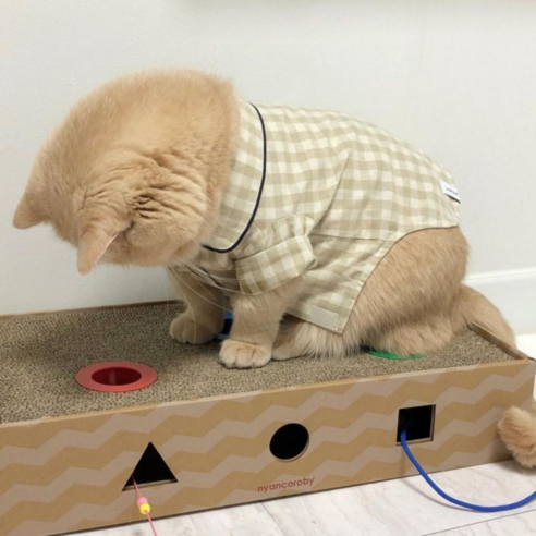 따뜻하고 아늑한 수면 환경 제공