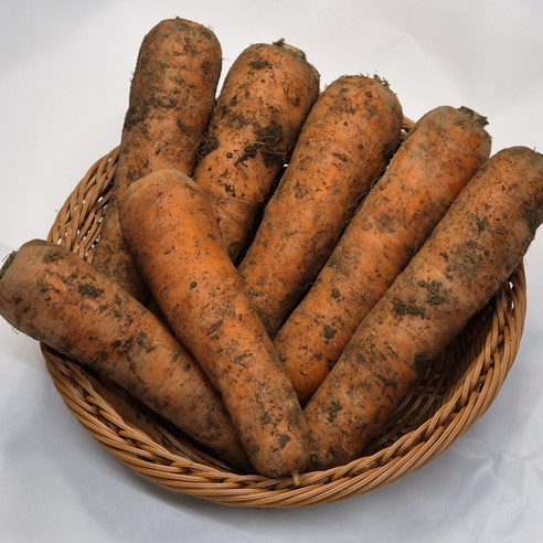 프리미엄 제주도 구좌 흙당근, 제주구좌흙당근, 1박스, 1kg