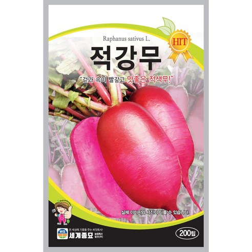 [주주씨앗] 적강무씨앗 200립 빨간색 김장무 종자 씨 영리용 전문농가용 무우씨 무씨 무우씨앗 무씨앗, 1개
