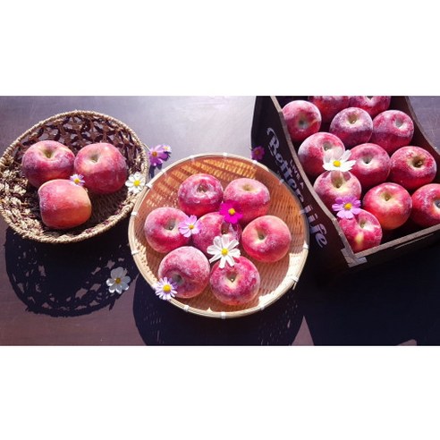 하얀사과농원, 고집과 정성으로 키운 아리수 사과의 풍미를 경험하세요.