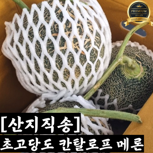 [산지직송] 초고당도 칸탈로프 멜론 노을메론 4kg 8kg / 칸탈로프멜론 칸탈로프 칸탈로프멜론과일 칸달로프메론 메론3kg 메론4kg 메론8kg melon2kg melon4kg, 8kg(3~5수), 1개