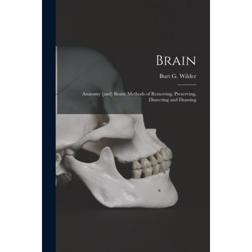 (영문도서) Brain: Anatomy [and] Brain: Methods of Removing Preserving Dissecting and Drawing Paperback, Legare Street Press, English, 9781014620712