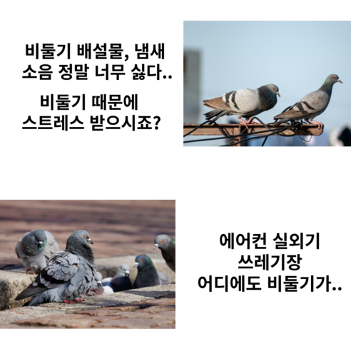 비둘기 없는 깨끗하고 평화로운 공간, 이제 당신의 것입니다!