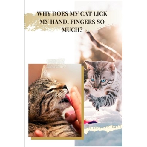 (영문도서) Why Does My Cat Lick My Hand & Fingers So Much?: Why Do Cats Like Str&#1030;ng? Paperback, Independently Published, English, 9798527720914