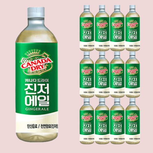 캐나다드라이 진저에일 450ml 12개 탄산수