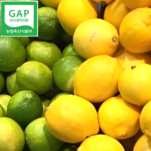 [20차완판신화] GAP인증 농장직송 제주레몬 신선한 레몬, 1개, 3kg(특품)