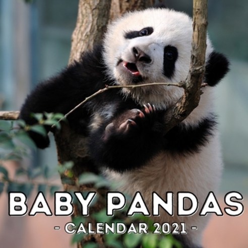 (영문도서) Baby Pandas 2021 Calendar: Cute Gift Idea For Panda Lovers Men And Women Paperback, Independently Published, English, 9798506511991