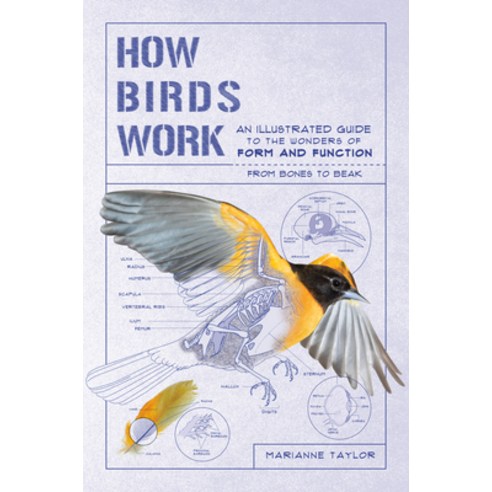 How Birds Work:An Illustrated Guide to the Wonders of Form and Function--From Bones to Beak, Experiment