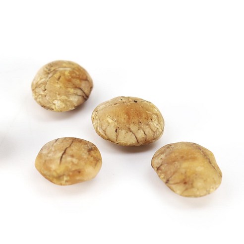 면역력을 강화하고 전반적인 건강을 증진하는 고품질 보충제