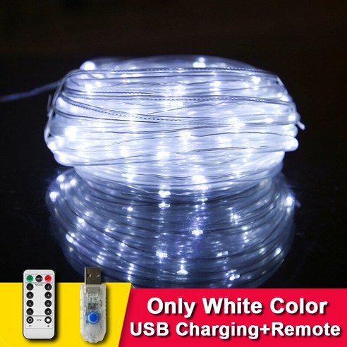 LED 태양열 정원 장식 램프 5M/10M/20M/30M/50M 방수 화환 조명 야채 정원 가구, 러시아_White USB