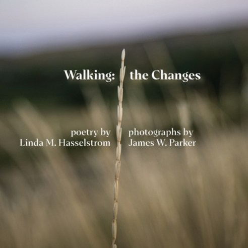 (영문도서) Walking the Changes Paperback, Lame Johnny Press, English, 9780917624087