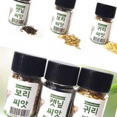 차챠 귀리씨앗 14G 캣그라스, 1개 고양이풀씨앗