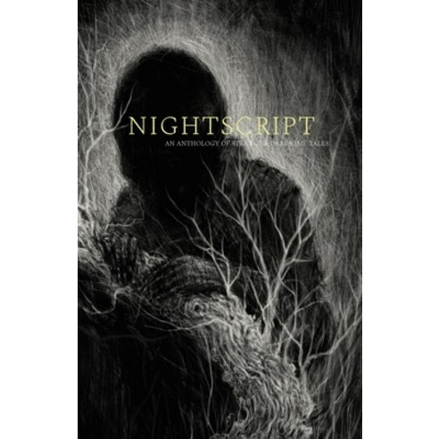 (영문도서) Nightscript: Volume 8 Paperback, Independently Published, English, 9798421594499