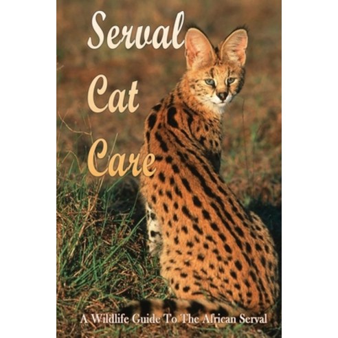 (영문도서) Serval Cat Care: A Wildlife Guide To The African Serval: Facts About The Exotic Breed Paperback, Independently Published, English, 9798542803500