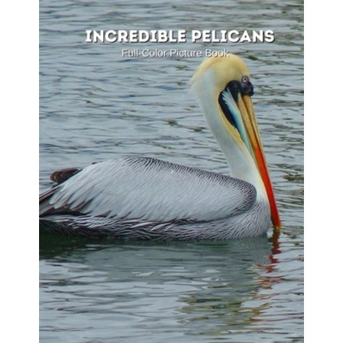 Incredible Pelicans Full-Color Picture Book: Stork Photography Book - Bird Picture Book for Children... Paperback, Independently Published, English, 9798743278374