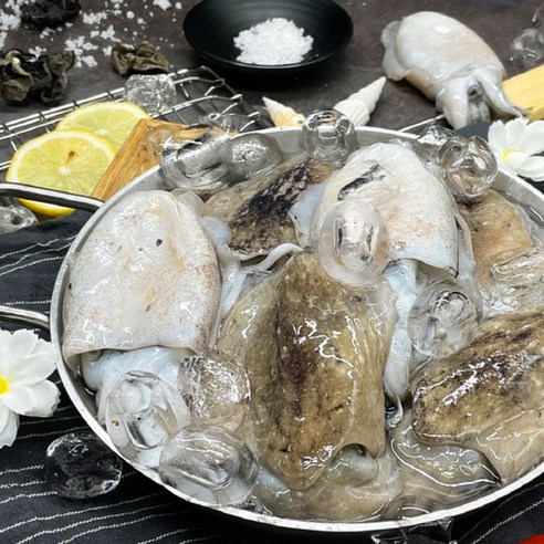 신선하고 품질 좋은 갑오징어를 제공하는 군산 생물 갑오징어 1kg