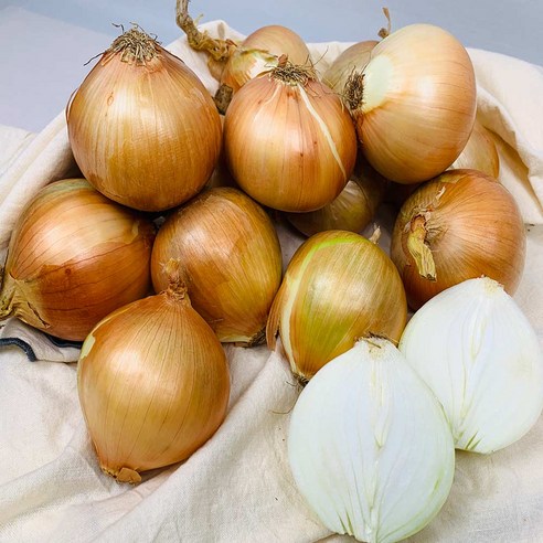 농부곳간 국내산 햇 무안 양파 속이 단단한 양파, 1개, 양파중5kg