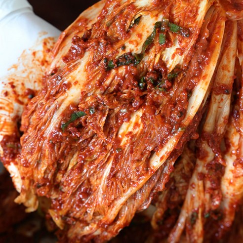 백록담 포기김치 배추김치 10kg 당일제조 출고 무료반품가능, 1개