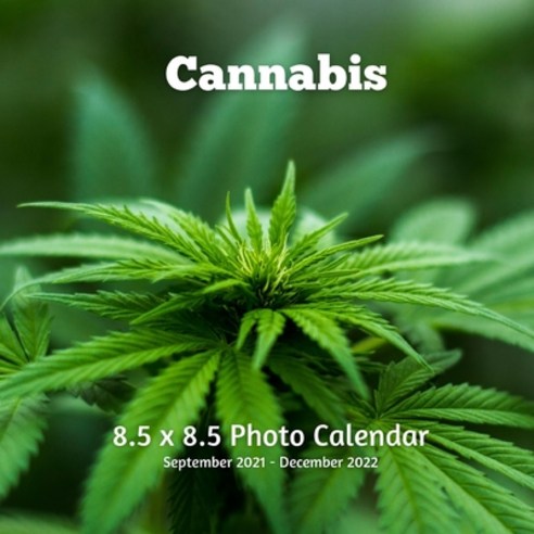 Cannabis 8.5 x 8.5 Calendar September 2021 -December 2022: Weed Photos Monthly Calendar with U.S./UK... Paperback, Independently Published, English, 9798737083380
