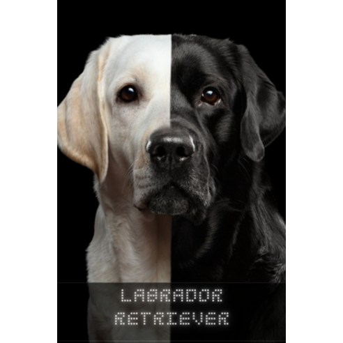(영문도서) Labrador Retriever: The Complete Breed Guide Paperback, Independently Published, English, 9798518644199