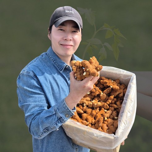 봉동 황토바른 개량종/생강종자 1kg