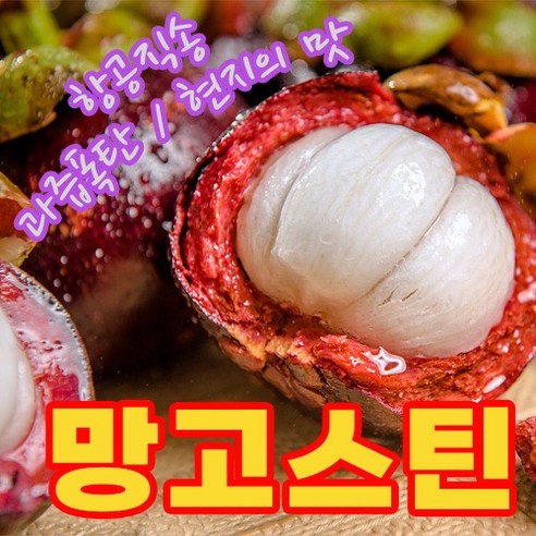어머! 상큼달달 생 망고스틴 500g, 4개