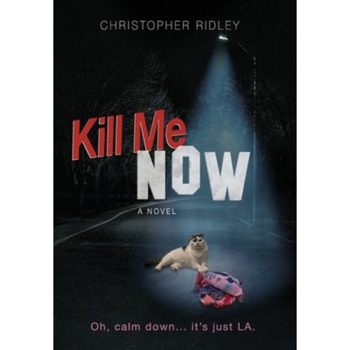 (영문도서) Kill Me Now Hardcover, Quincy Beauty Publishing, English, 9798989638307