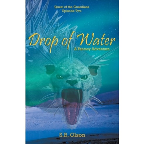 (영문도서) Drop of Water: A Fantasy Adventure Paperback, S.R. Olson, English, 9781393539131