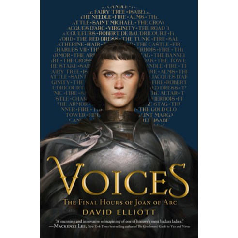 Voices: The Final Hours of Joan of Arc Paperback, Houghton Mifflin