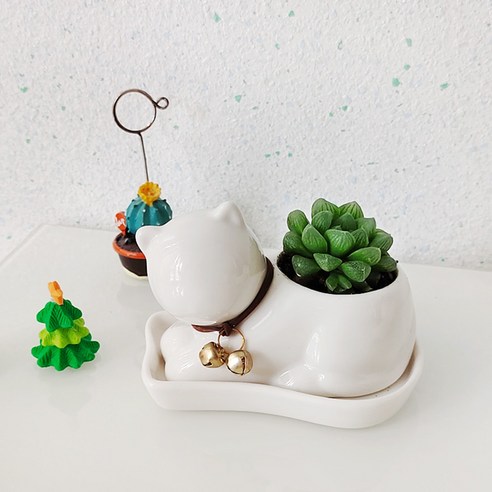 귀여운 고양이 화분, 다양한 활용도, 우수한 품질과 안전성