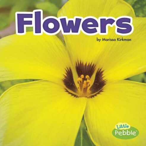 Flowers Paperback, Pebble Books