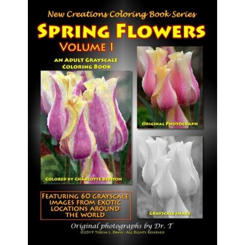 Spring Flowers Volume 1 Paperback, New Creations Coloring Book Series