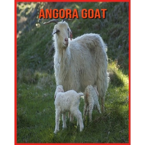 Angora Goat: Fun Facts and Amazing Photos of Animals in Nature Paperback, Independently Published, English, 9798706625061