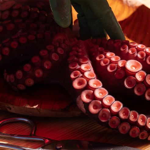 안전하고 신선한 필리핀산 고품질 자숙문어