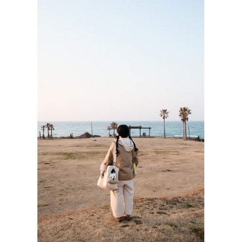 국산 친환경 강아지·고양이 이동가방: 편안함, 안전, 다양성의 완벽한 조화