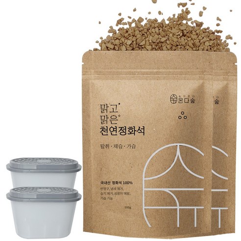 온다숲 반영구 천연 제습제 정화석 500g2개+용기2, 500g
