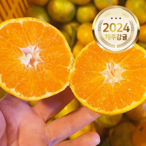 새콤달콤과즙폭발 14brix 제주 감귤 귤, 1박스, 5kg (대과)