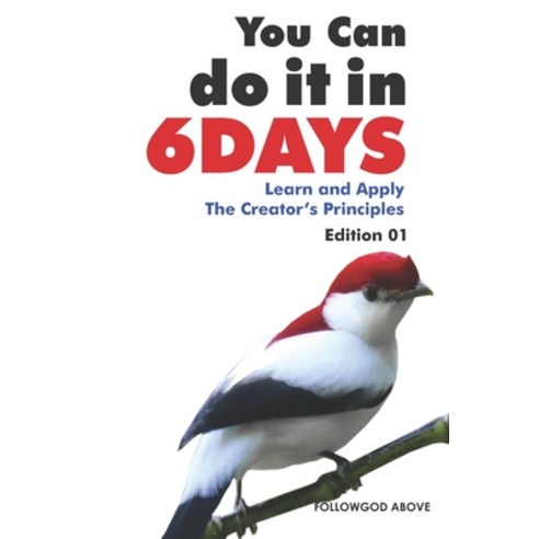 You Can Do It in Six Days: Learn and Apply The Creator''s Principles Paperback, Independently Published, English, 9798552078080