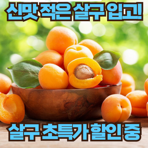 동지프룻 고당도 프리미엄 햇 하코드 살구 500g/1kg/2kg, 5개, 하코드 살구 1g(11~21과)내외) 살구5kg