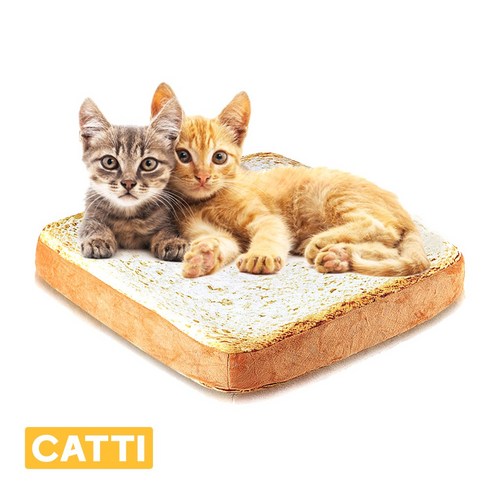 고양이의 편안한 숙면과 안락함을 위한 최고의 침구: 캐티 고양이방석